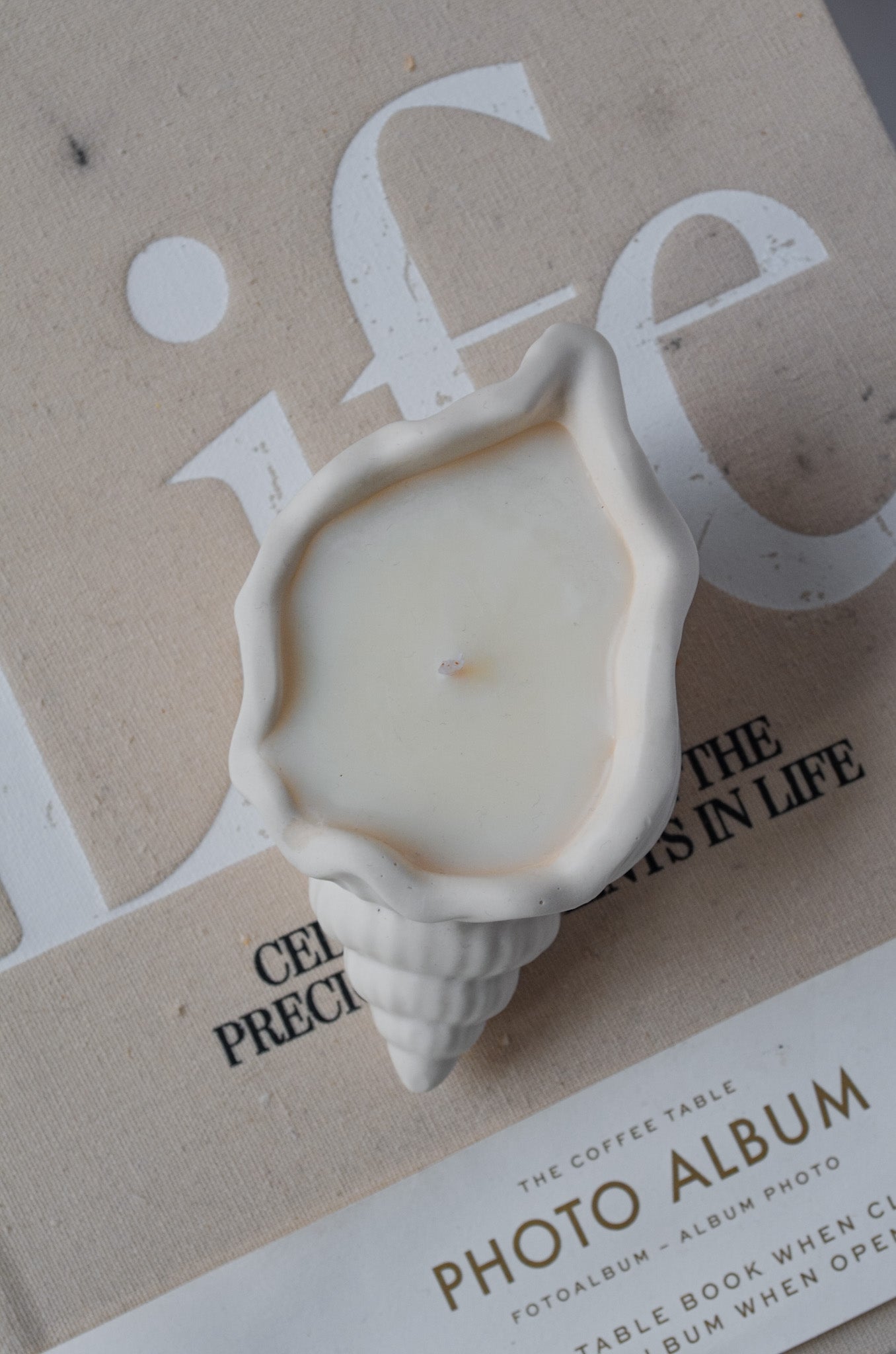 Seashell Beach Candles