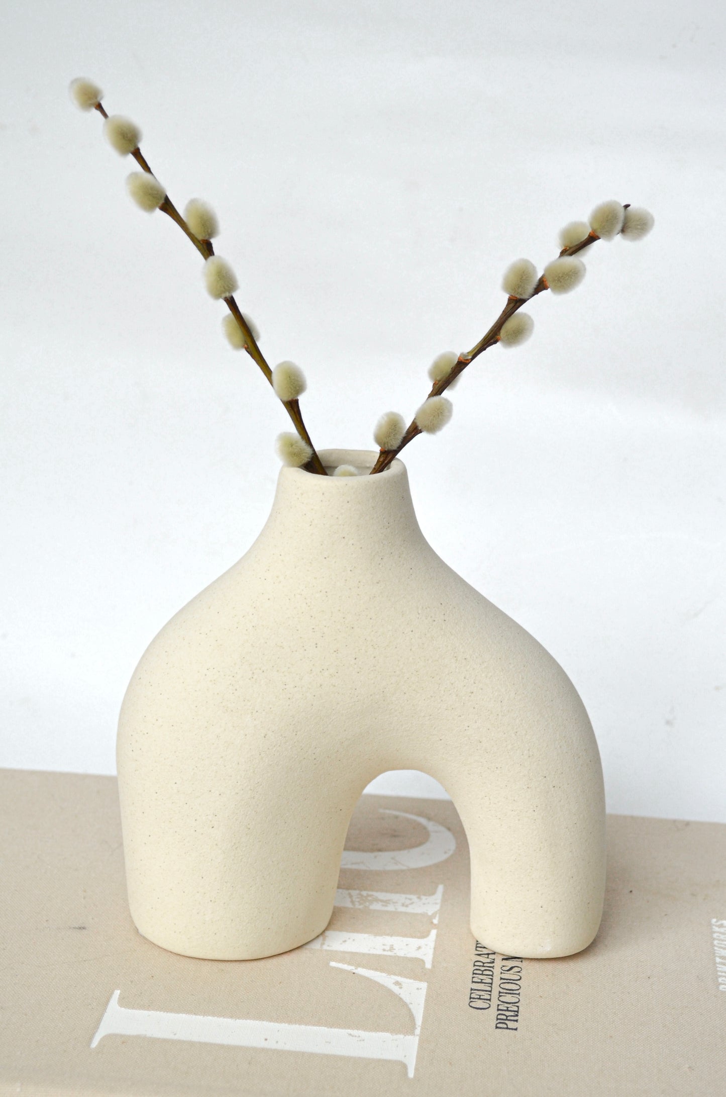 Minimalist Asymmetrical Ceramic Vase